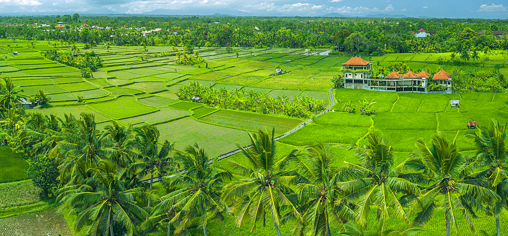 Aerial view of Kajeng Rice Field, Gianyar Regency, Bali, Indonesia, South East Asia, Asia