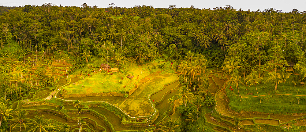 Panoramic aerial view of Tegallalang Rice Terrace, UNESCO World Heritage Site, Tegallalang, Kabupaten Gianyar, Bali, Indonesia, South East Asia, Asia