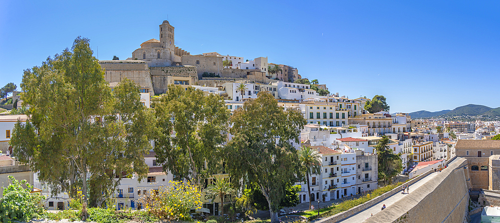 View of Dalt Vila and Cathedral, UNESCO World Heritage Site, Ibiza Town, Eivissa, Balearic Islands, Spain, Mediterranean, Europe