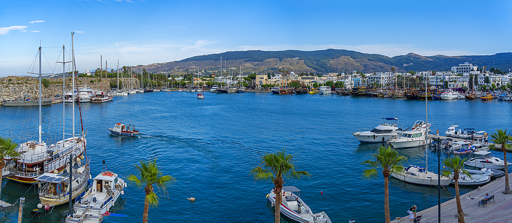 View of boats in Kos Harbour in Kos Town from elevated position, Kos, Dodecanese, Greek Islands, Greece, Europe