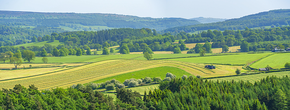 View of farmland near Chatsworth House in spring, Derbyshire Dales, Derbyshire, England, United Kingdom, Europe