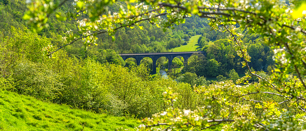 View of Monsal Viaduct in Monsal Dale, Peak District National Park, Derbyshire, England, United Kingdom, Europe