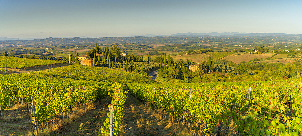 View of chaleau and vineyards near San Gimignano, San Gimignano, Province of Siena, Tuscany, Italy, Europe