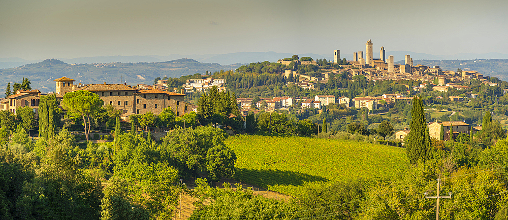 View of vineyards and San Gimignano skyline, San Gimignano, Province of Siena, Tuscany, Italy, Europe