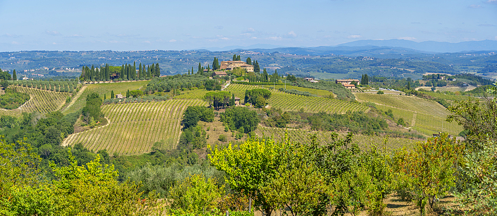 View of vineyards and landscape near San Gimignano, San Gimignano, Province of Siena, Tuscany, Italy, Europe