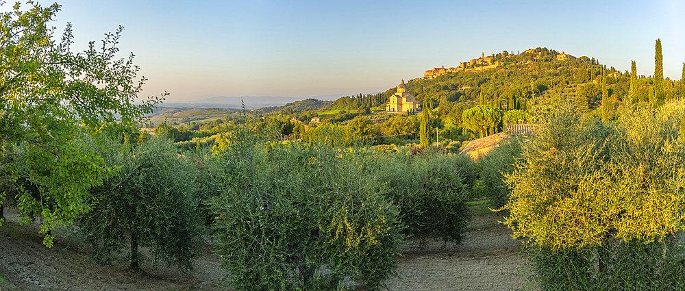 View of medieval hilltop town of Montepulciano, Montepulciano, Province of Siena, Tuscany, Italy, Europe