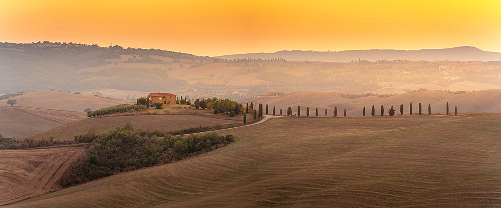 View of golden Tuscan landscape near Pienza, Pienza, Province of Siena, Tuscany, Italy, Europe