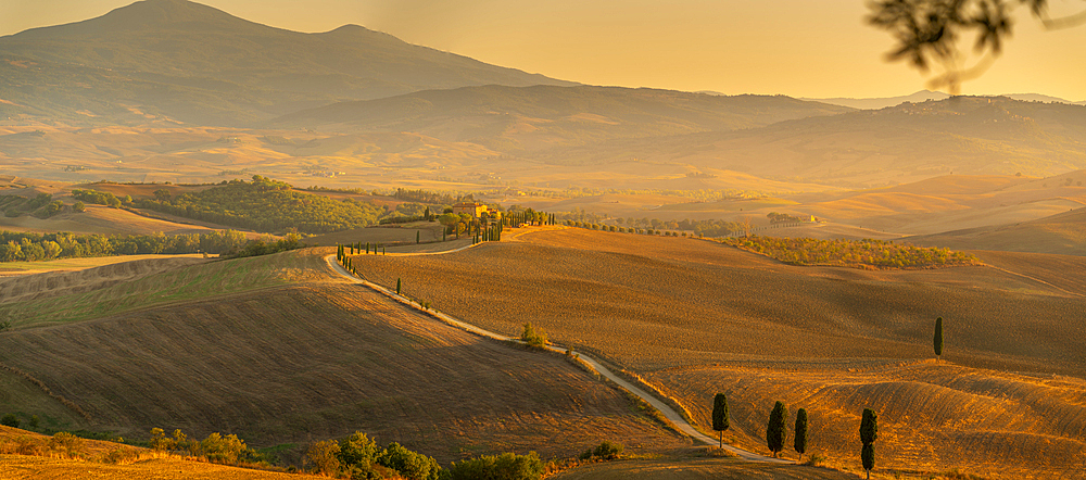 View of golden Tuscan landscape near Pienza, Pienza, Province of Siena, Tuscany, Italy, Europe