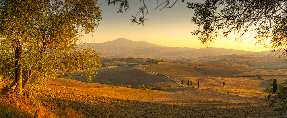 View of golden Tuscan landscape near Pienza, Pienza, Province of Siena, Tuscany, Italy, Europe