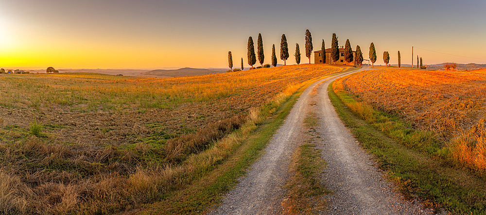 View of cypress trees in landscape near Pienza, Val d'Orcia, UNESCO World Heritage Site, Province of Siena, Tuscany, Italy, Europe