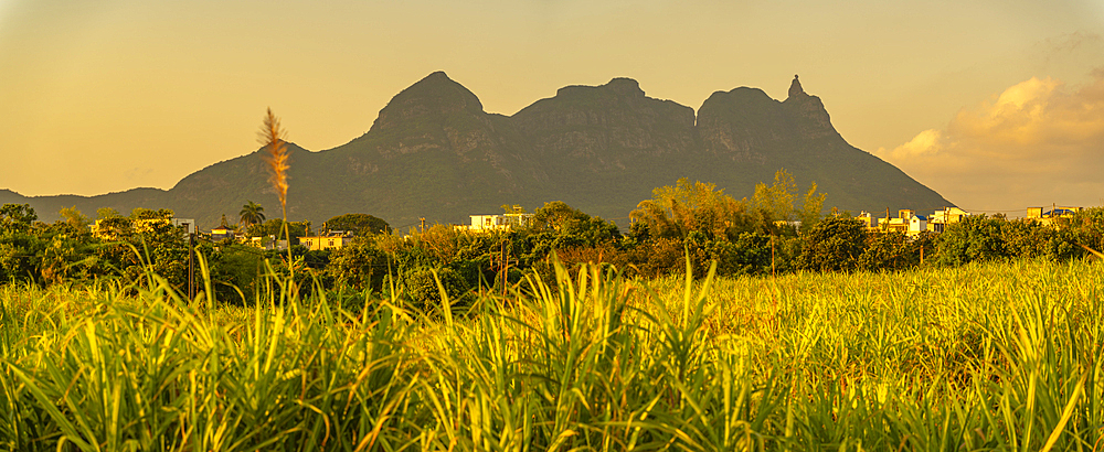 View of farmland and mountains near Quatre Bornes, Mauritius, Indian Ocean, Africa