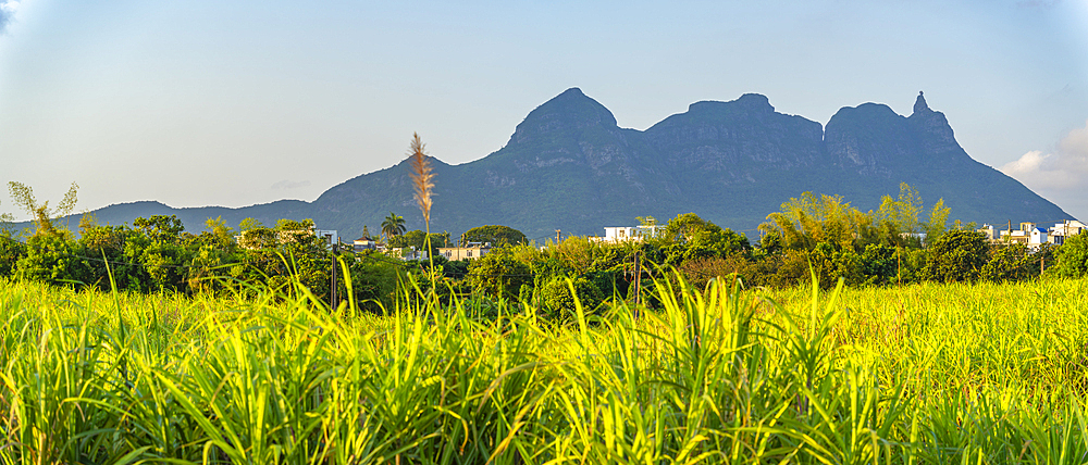 View of farmland and mountains near Quatre Bornes, Mauritius, Indian Ocean, Africa