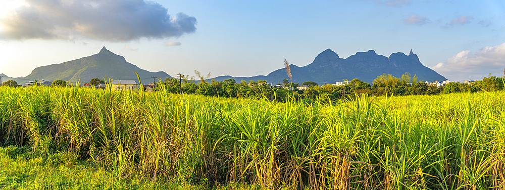 View of farmland and mountains near Quatre Bornes, Mauritius, Indian Ocean, Africa