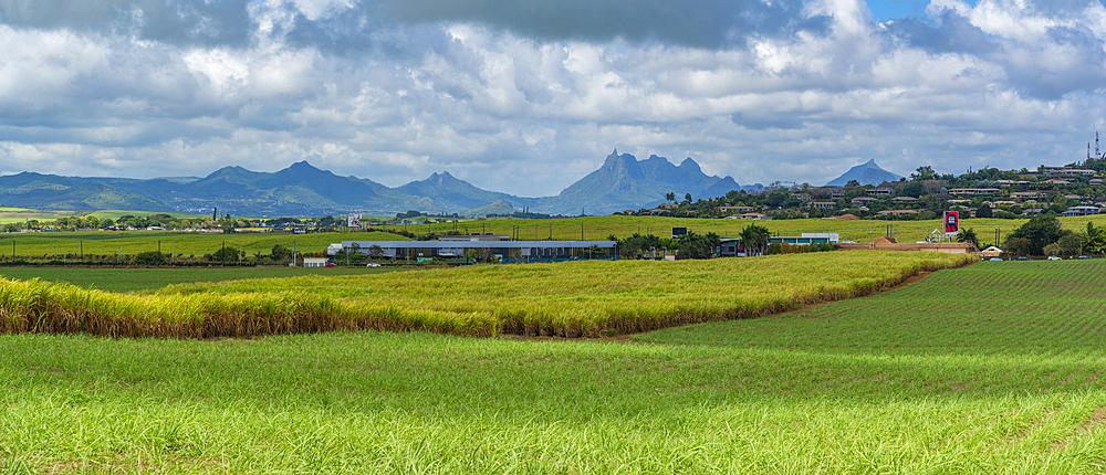 View of landscape and Long Mountain in the interior from near Petit Raffray, Mauritius, Indian Ocean, Africa