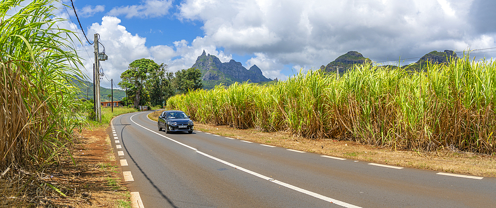 View of road leading to Pieter Both near Vallee du Paradis, Mauritius, Indian Ocean, Africa