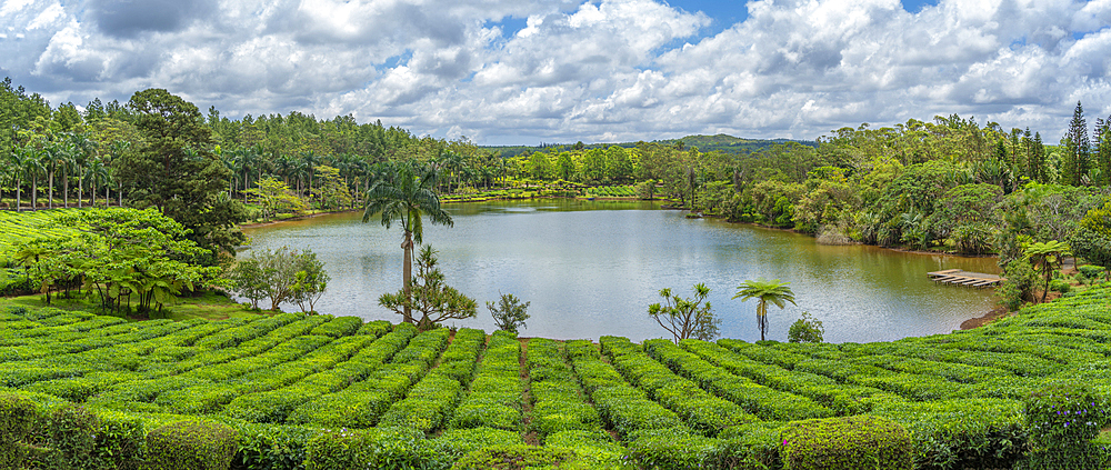 View of exterior of Bois Cheri Tea Estate, Savanne District, Mauritius, Indian Ocean, Africa