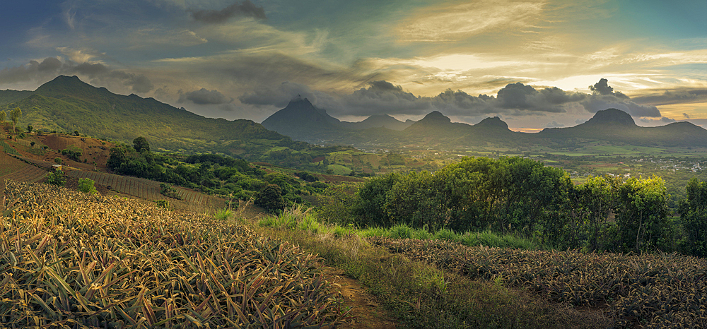 View of Pieter Both and Long Mountain, Nouvelle Decouverte, Mauritius, Indian Ocean, Africa