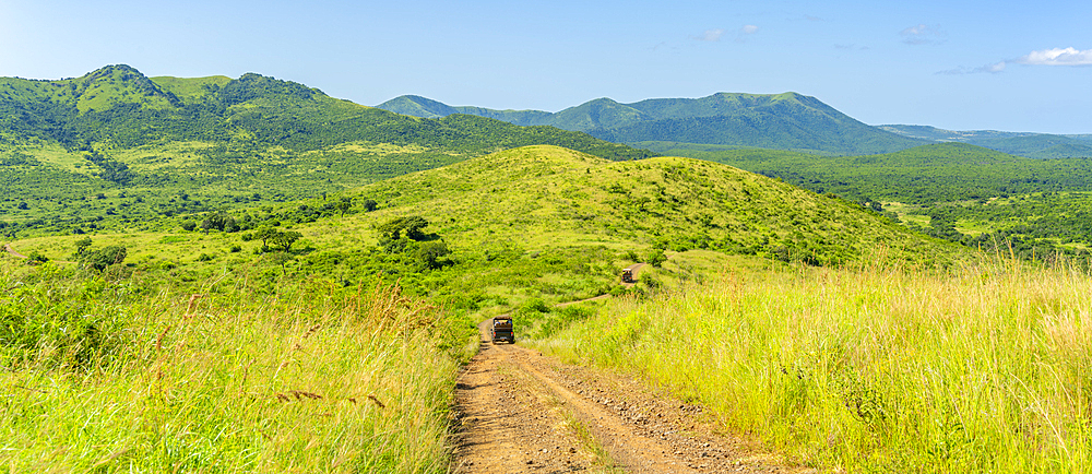 View of safari vehicles in Hluhluwe-Imfolozi Park (Umfolozi), the oldest nature reserve in Africa, KwaZulu-Natal Province, South Africa, Africa