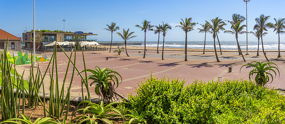 View of palm trees, promenade and Indian Ocean in background, Durban, KwaZulu-Natal Province, South Africa, Africa