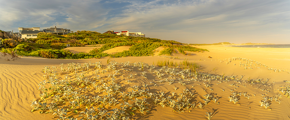 View of sand dunes and beach, Cape St. Francis, Eastern Cape Province, South Africa, Africa