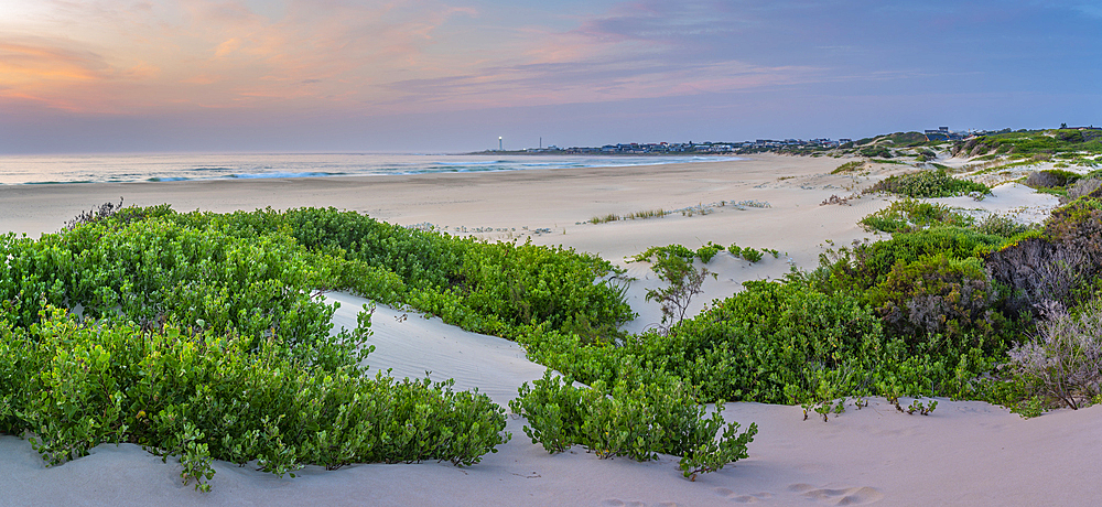 View of beach and Seal Point Lighthouse at sunrise, Cape St. Francis, Eastern Cape Province, South Africa, Africa