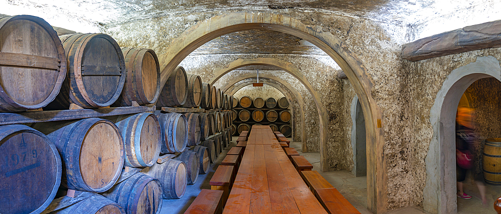 View of wine sampling cellar at Robertson Kooperatiewe Wynmakery, Robertson, Western Cape, South Africa, Africa