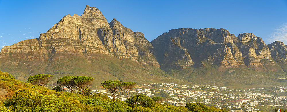 View of Kloof Corner Table Mountain Nature Reserve from Camps Bay, Cape Town, Western Cape, South Africa, Africa