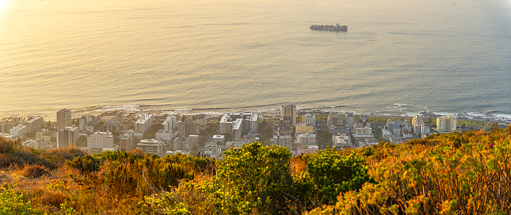 View of Sea Point in Cape Town from Signal Hill at sunset, Cape Town, Western Cape, South Africa, Africa