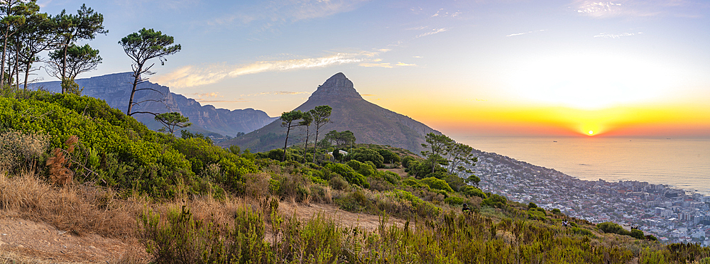 View of Lion's Head and Bantry Bay at sunset from Signal Hill, Cape Town, Western Cape, South Africa, Africa