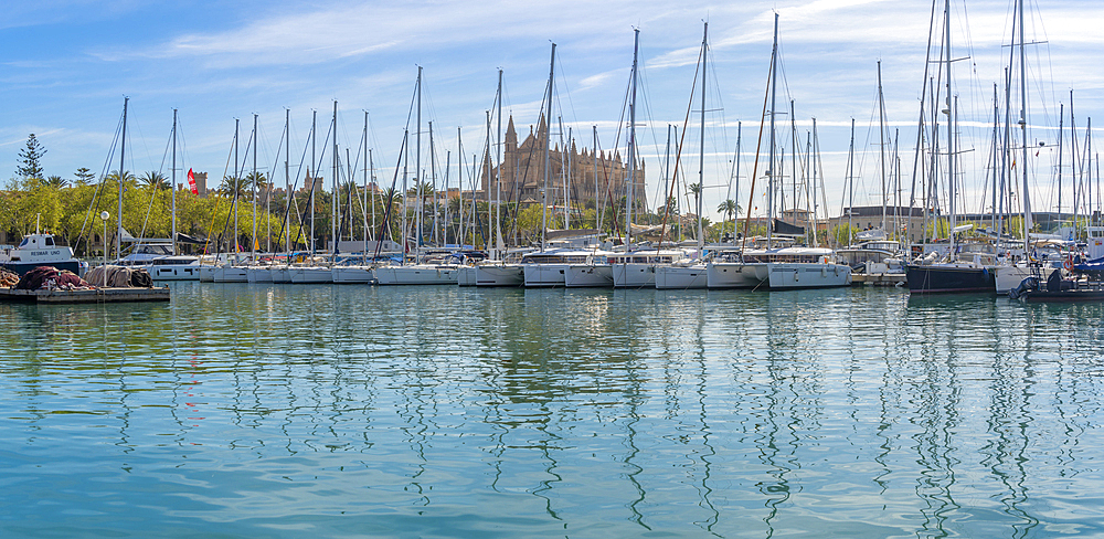 View of Cathedral-Basílica de Santa Maria de Mallorca from Passeig Marítime, Palma de Mallorca, Majorca, Balearic Islands, Spain, Mediterranean, Europe