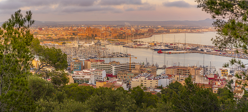 View of city skyline of Palma and cathedral from Castell de Bellver at sunset, Majorca, Balearic Islands, Spain, Mediterranean, Europe