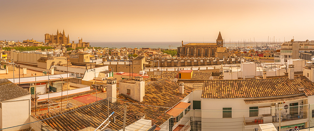 View of Catedral-Basílica de Santa María de Mallorca and rooftops, Palma de Mallorca, Majorca, Balearic Islands, Spain, Mediterranean, Europe