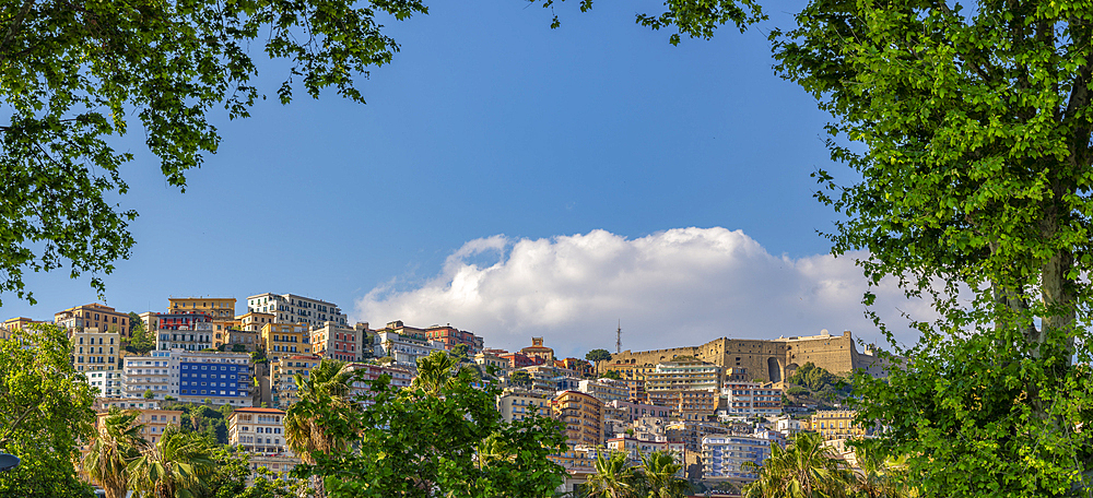 View of pastel coloured villas and Sant'Elmo Castle from Rotonda Diaz, Naples, Campania, Italy, Europe