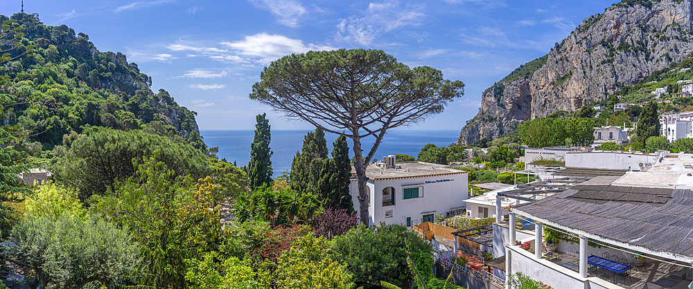 View of villas and seascape from Capri Town, Isle of Capri, Bay of Naples, Campania, Italy, Mediterranean, Europe