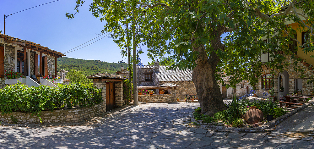 View of street in Theologos, Theologos, Thassos, Aegean Sea, Greek Islands, Greece, Europe