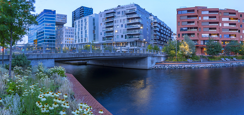 View of the Barcode buildings and flowers at dusk, Oslo, Norway, Scandinavia, Europe