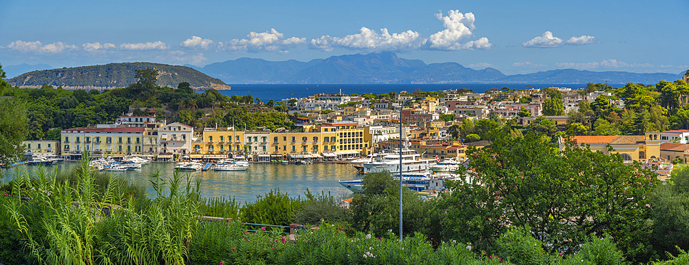 Elevated view of Porto d'Ischia (Port of Ischia), Island of Ischia, Campania, Italy, Europe