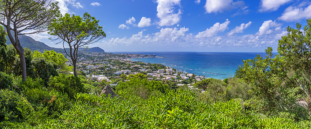 View of tropical flora in Giardini la Mortella Botanical Gardens and Forio in background, Forio, Island of Ischia, Campania, Italy, Europe