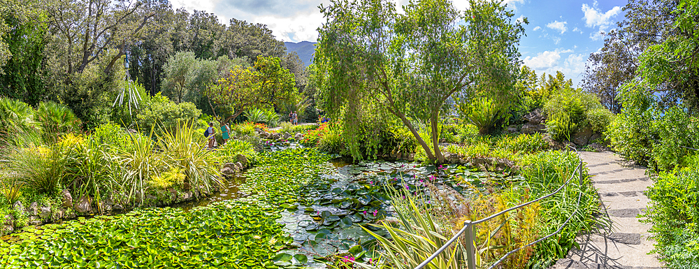 View of tropical flora in Giardini la Mortella Botanical Gardens, Forio, Island of Ischia, Campania, Italy, Europe