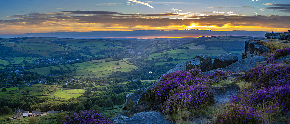 View of landsacpe from Curbar Edge with purple flowering heather at sunset, Peak District National Park, Baslow, Derbyshire, England, United Kingdom, Europe