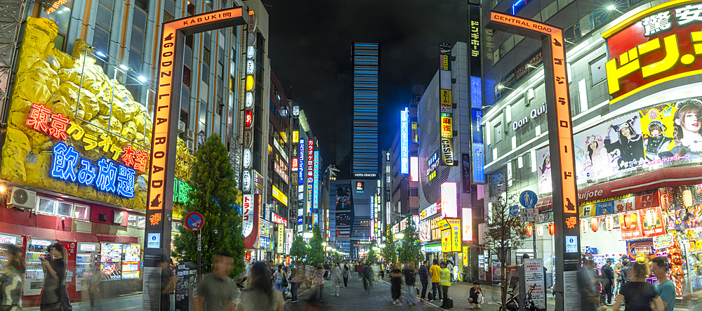 View of Kabukicho neon lit street and crossings at night, Shinjuku City, Kabukicho, Tokyo Japan, Asia