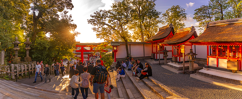 View of Fushimi Inari Shrine at dusk, Fukakusa Yabunouchicho, Fushimi Ward, Kyoto, Honshu, Japan