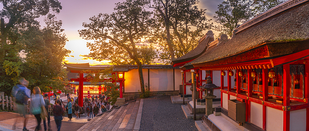 View of Torii Gate at Kyoto's Fushimi Inari Buddist Temple at dusk, Fukakusa Yabunouchicho, Fushimi Ward, Kyoto, Japan, Asia