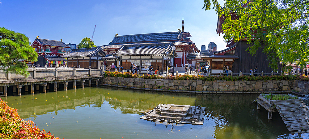 View of Kita-indogane-do and turtles in turtle pond on a sunny day, Shitennoji, Tennoji Ward, Osaka, Honshu, Japan, Asia