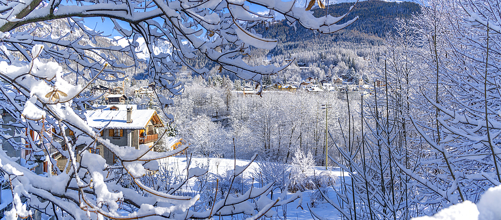 View of snow covered trees, mountains and Courmayeur from Dolonne during winter, Courmayeur, Aosta Valley, Italy, Europe