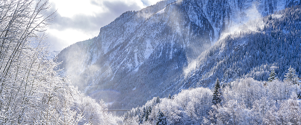 View of snow covered trees, mountains from Dolonne during winter, Courmayeur, Aosta Valley, Italy, Europe