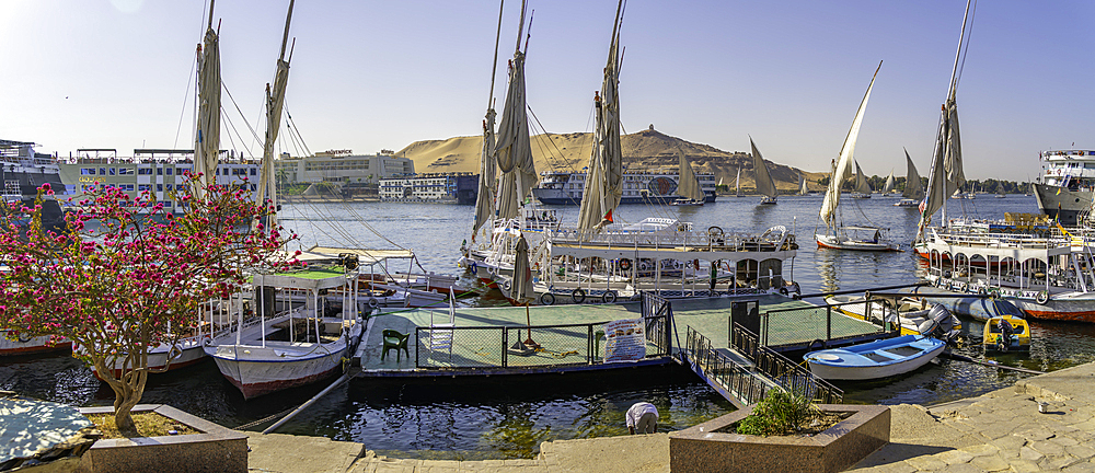 View of fellucas on the Nile river on a sunny day, Aswan, Nubia, Egypt, North Africa, Africa