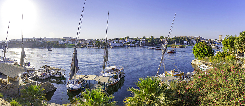 View of fellucas on the Nile river on a sunny day, Aswan, Nubia, Egypt, North Africa, Africa