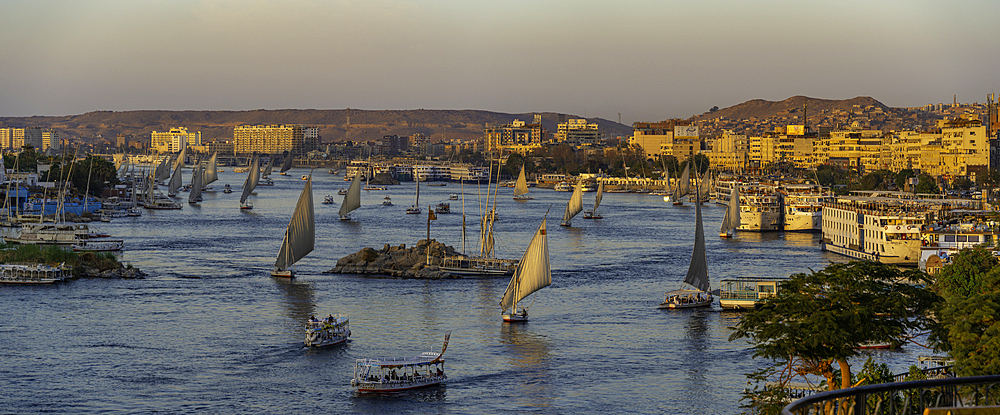 View of fellucas on the Nile river from Feryal Garden during golden hour, Aswan, Nubia, Egypt, North Africa, Africa