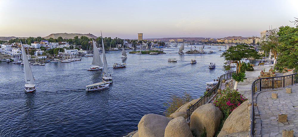 View of fellucas on the Nile river from Feryal Garden at dusk, Aswan, Nubia, Egypt, North Africa, Africa